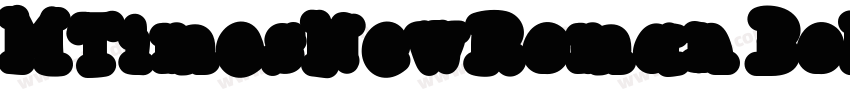 MTimesNewRoman BoldC字体转换